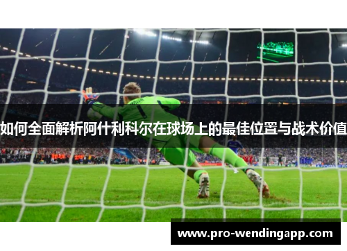 如何全面解析阿什利科尔在球场上的最佳位置与战术价值