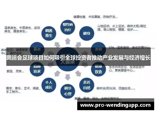 奥运会足球项目如何吸引全球投资者推动产业发展与经济增长