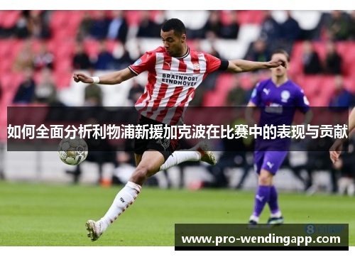 如何全面分析利物浦新援加克波在比赛中的表现与贡献