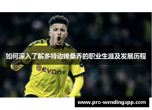 如何深入了解多特边锋桑乔的职业生涯及发展历程