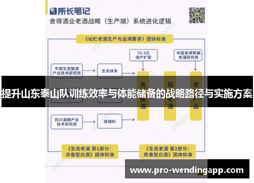 提升山东泰山队训练效率与体能储备的战略路径与实施方案