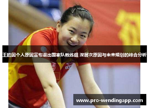 王皓因个人原因宣布退出国家队教练组 深层次原因与未来规划的综合分析 王皓因个人原因宣布退出国家队教练组 深层次原因与未来规划的综合分析