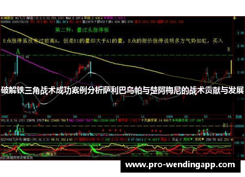 破解铁三角战术成功案例分析萨利巴乌帕与楚阿梅尼的战术贡献与发展