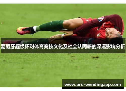 葡萄牙超级杯对体育竞技文化及社会认同感的深远影响分析 葡萄牙超级杯对体育竞技文化及社会认同感的深远影响分析
