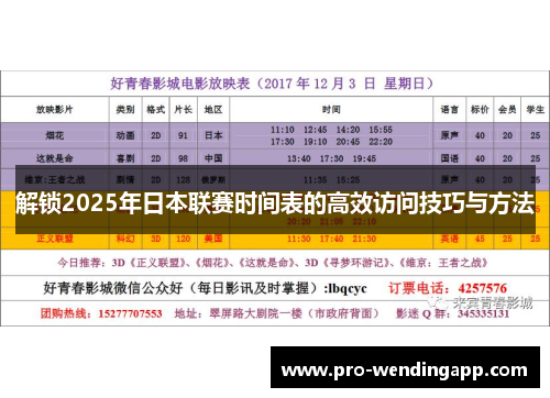 解锁2025年日本联赛时间表的高效访问技巧与方法 解锁2025年日本联赛时间表的高效访问技巧与方法