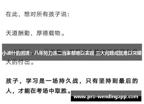 小波什的困境：八年努力连二当家都难以实现 三大问题成就难以突破