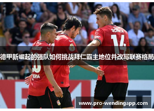 德甲新崛起的强队如何挑战拜仁霸主地位并改写联赛格局 德甲新崛起的强队如何挑战拜仁霸主地位并改写联赛格局