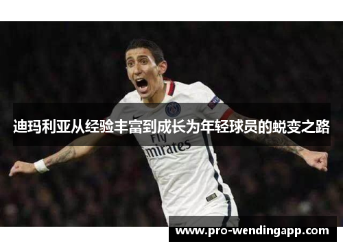 迪玛利亚从经验丰富到成长为年轻球员的蜕变之路