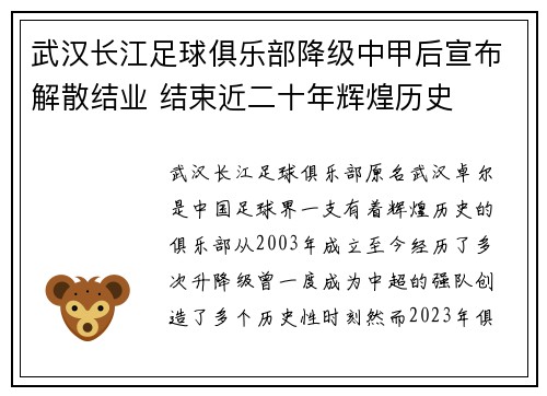 武汉长江足球俱乐部降级中甲后宣布解散结业 结束近二十年辉煌历史 武汉长江足球俱乐部降级中甲后宣布解散结业 结束近二十年辉煌历史