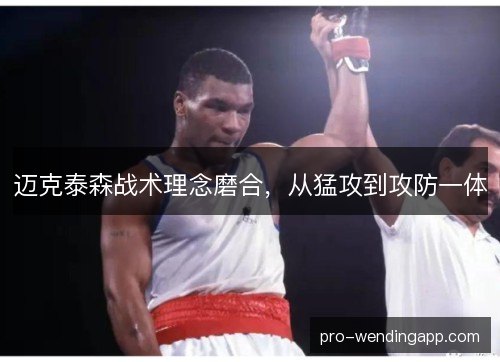 迈克泰森战术理念磨合，从猛攻到攻防一体