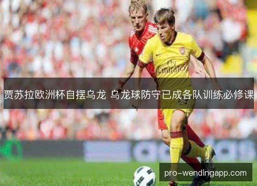 贾苏拉欧洲杯自摆乌龙 乌龙球防守已成各队训练必修课